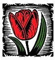 Pacocha Landscaping Services, Inc. logo
