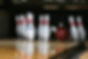 Pioneer Lanes logo