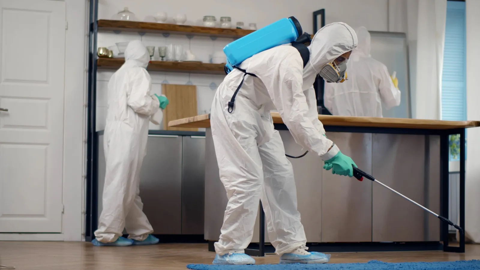 Extinguish Termite and Pest Control