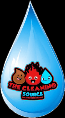 The Cleaning Source logo