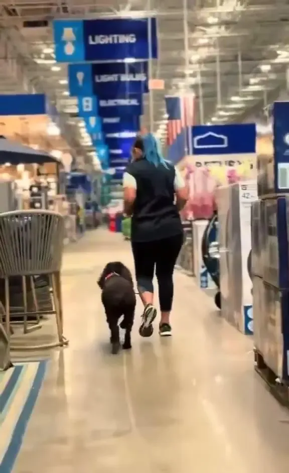 Unleashed Canine