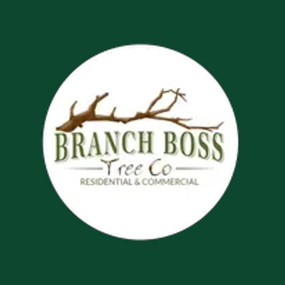 Branch Boss Tree Co. logo