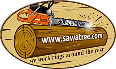 Jason Pence Tree and Stump Service logo