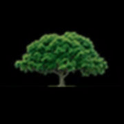 J&L Budget Tree Service logo