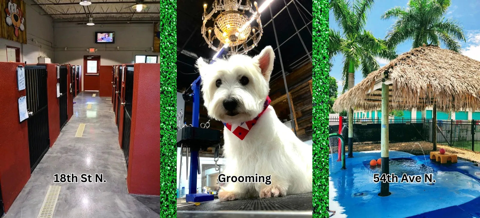 Love My Dog Resort