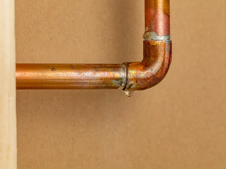 Z PLUMBERZ of South Charlotte