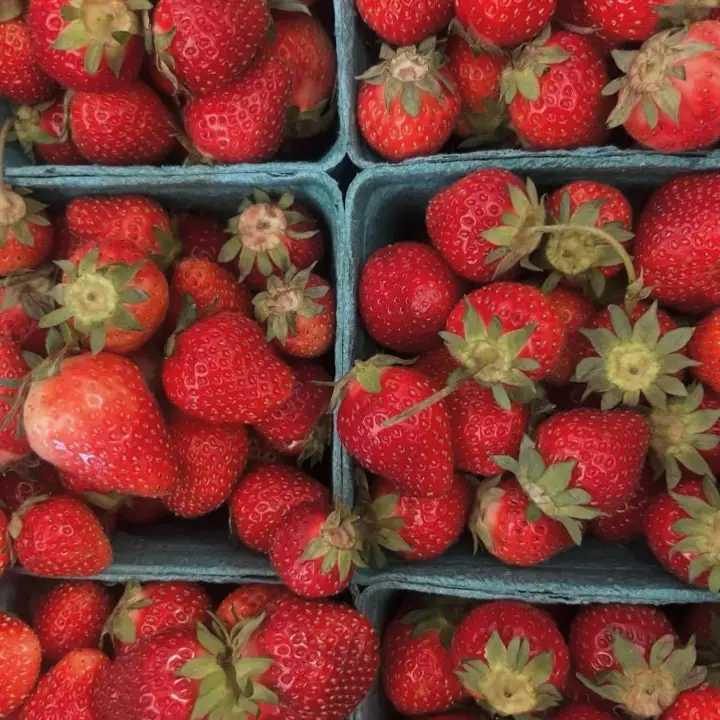Lakeview Fruit