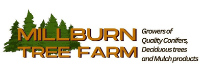 Millburn Tree Farm logo