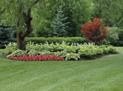 Clippers Landscaping & Supply
