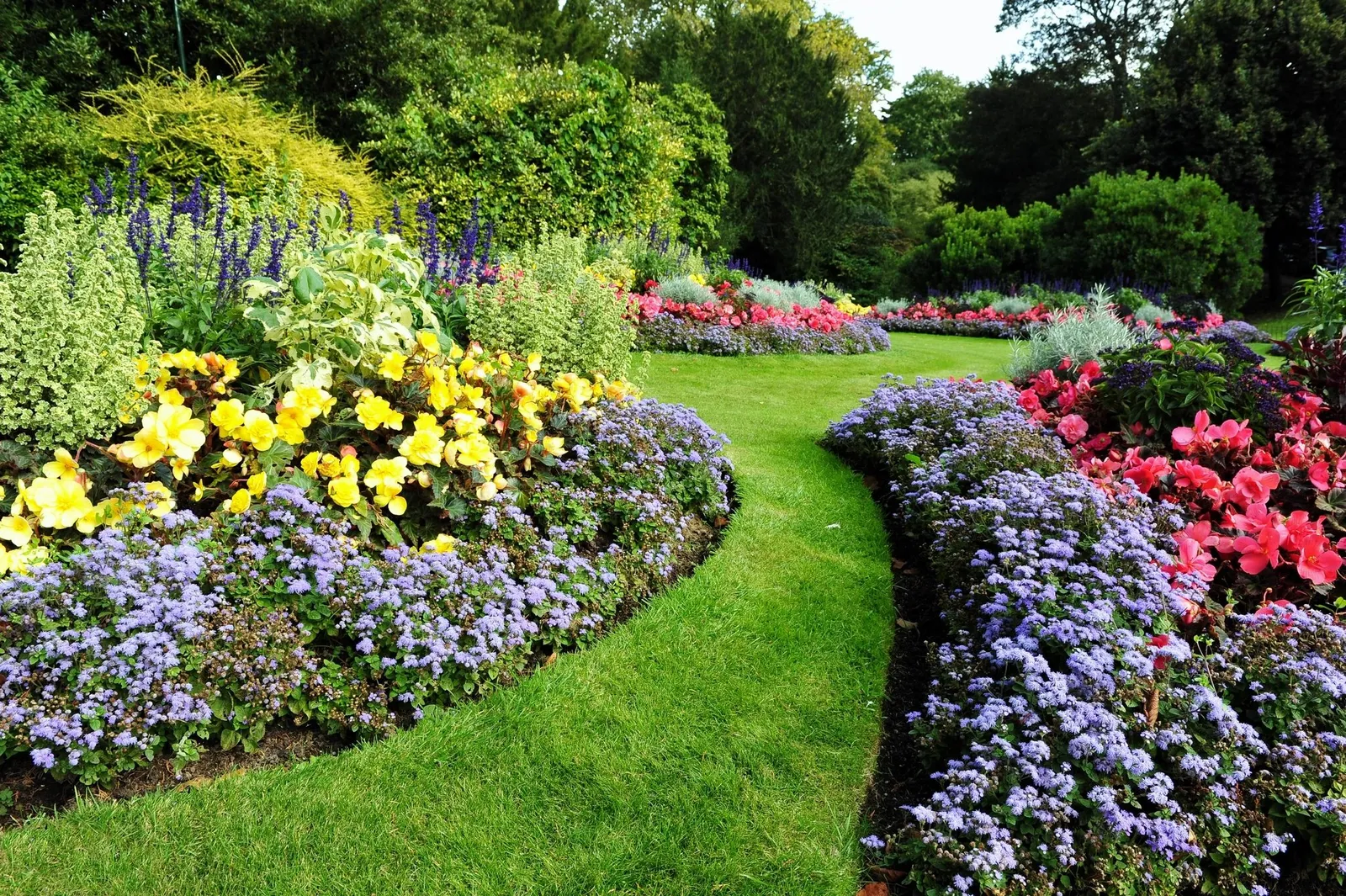 Landscape Solutions