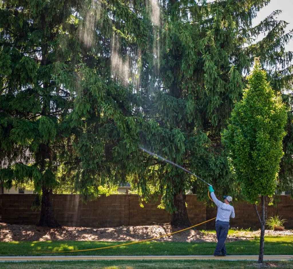 Signature Lawn & TreeMasters