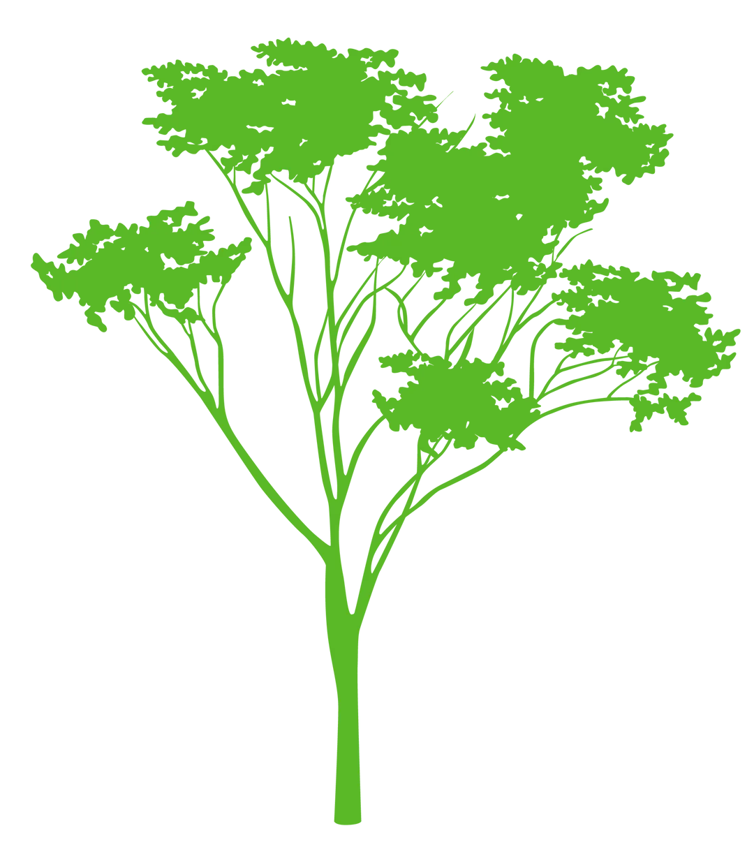 Plant Center Inc.