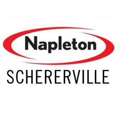 Napleton Volvo Cars logo