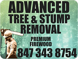 Advanced Tree and Stump Removal LLC logo