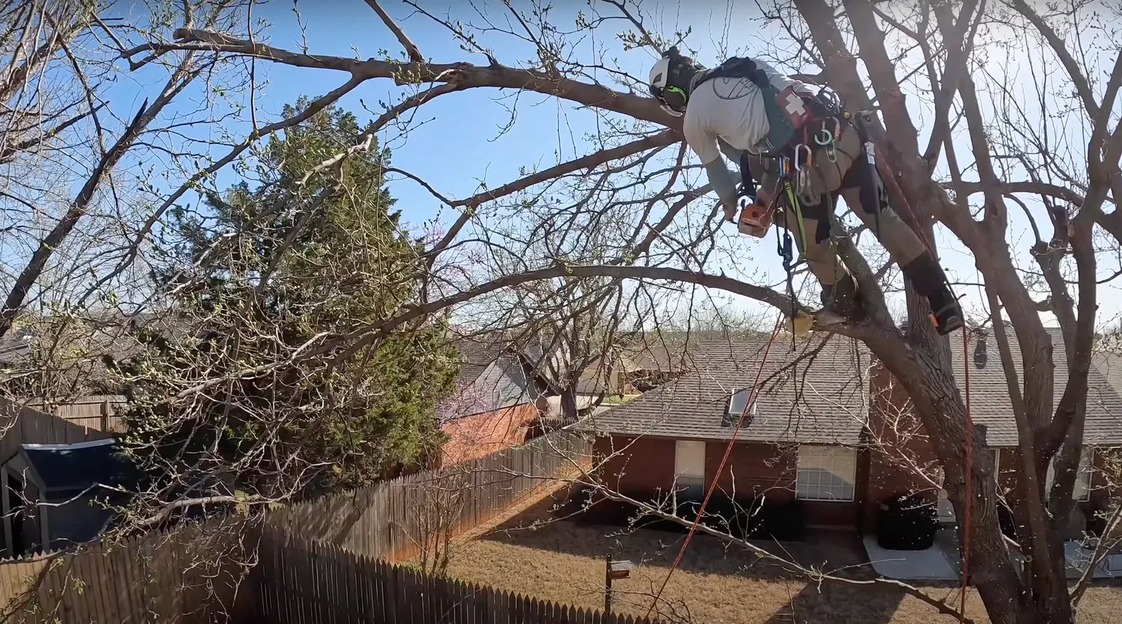 Full Circle Tree Service