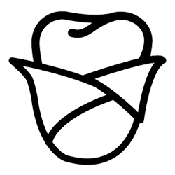 White Rose Dentistry logo