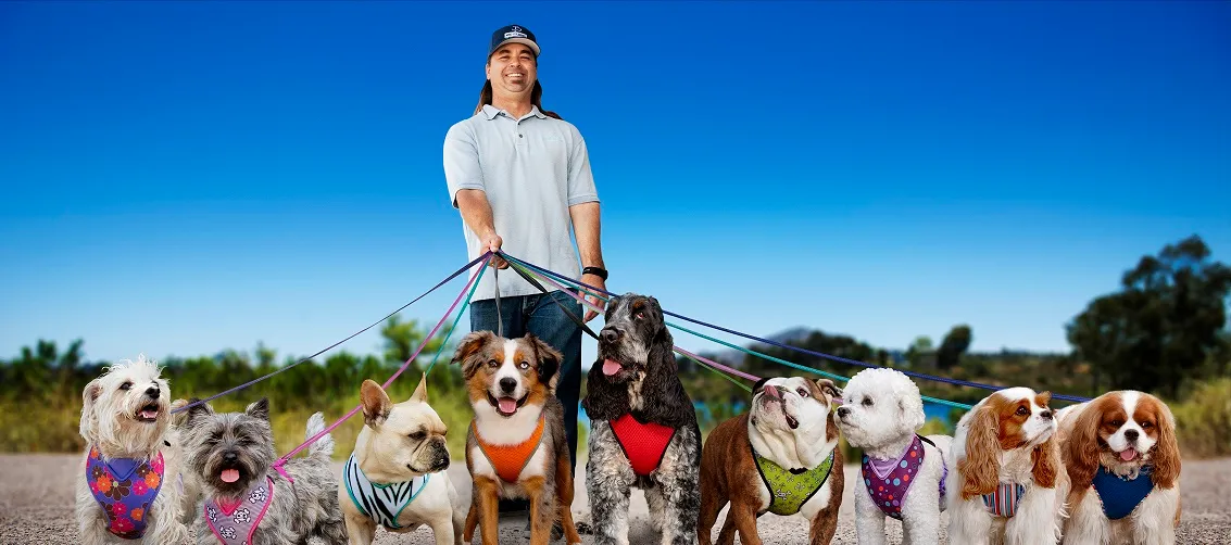 Kind To Canines