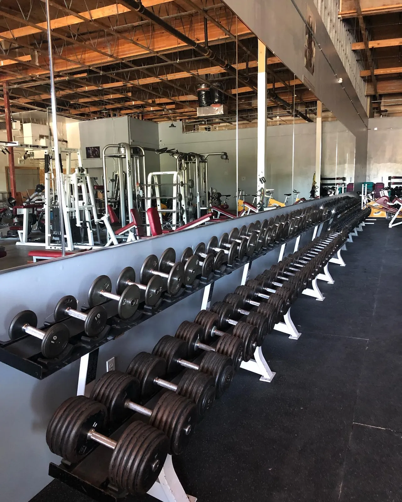 Olympic Fitness Club