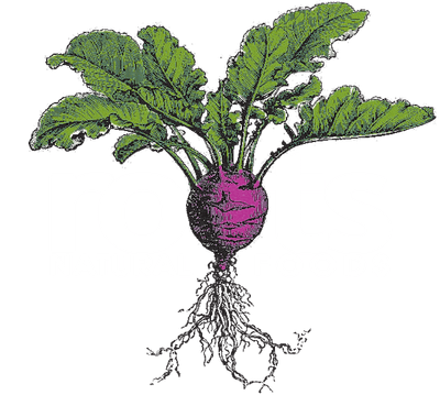 Roots Natural Foods logo
