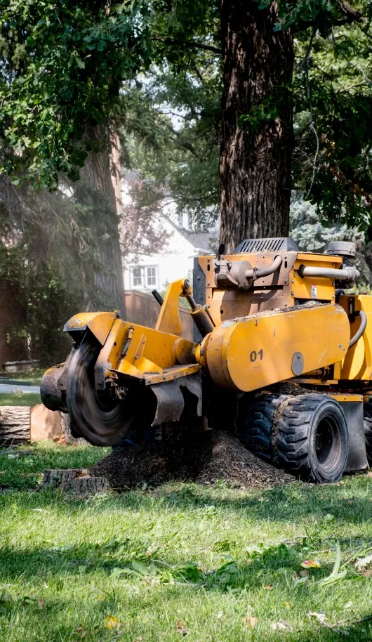 Titan Tree Service