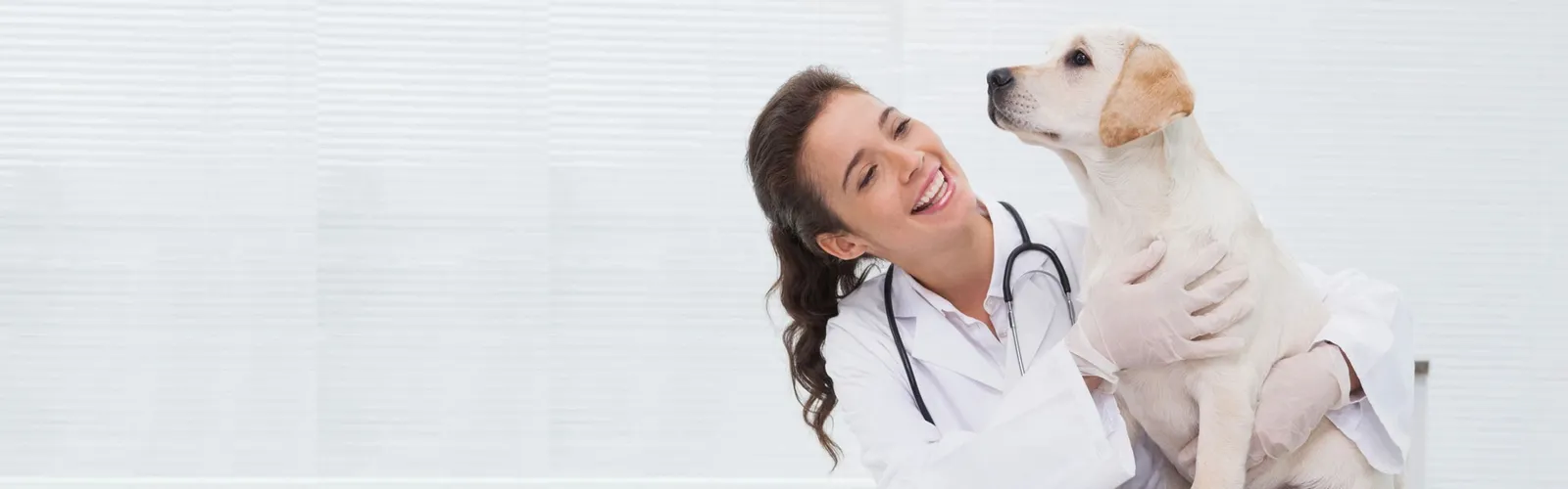 Bastet Animal Hospital