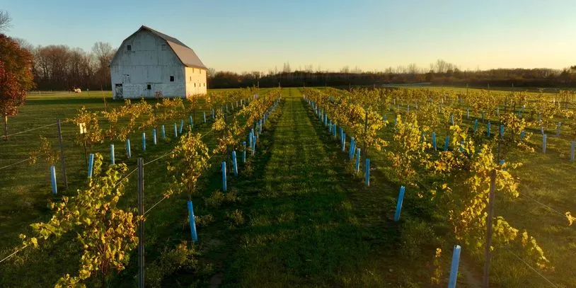 Spencer Farm Winery