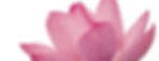 Broken Oak Wellness logo