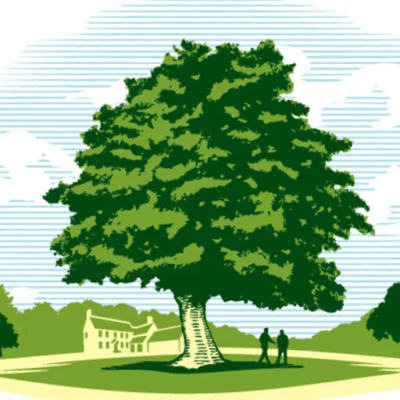 John B. Ward & Co. logo