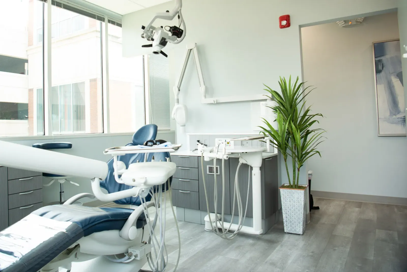 Precision Endodontic Network