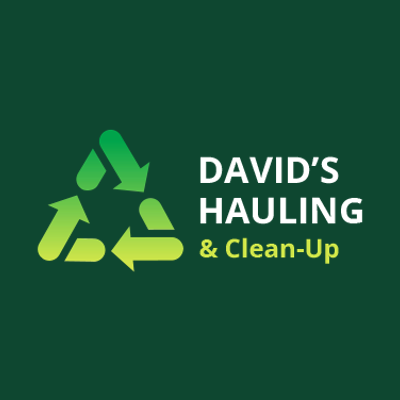 David's Hauling & Clean-Up logo