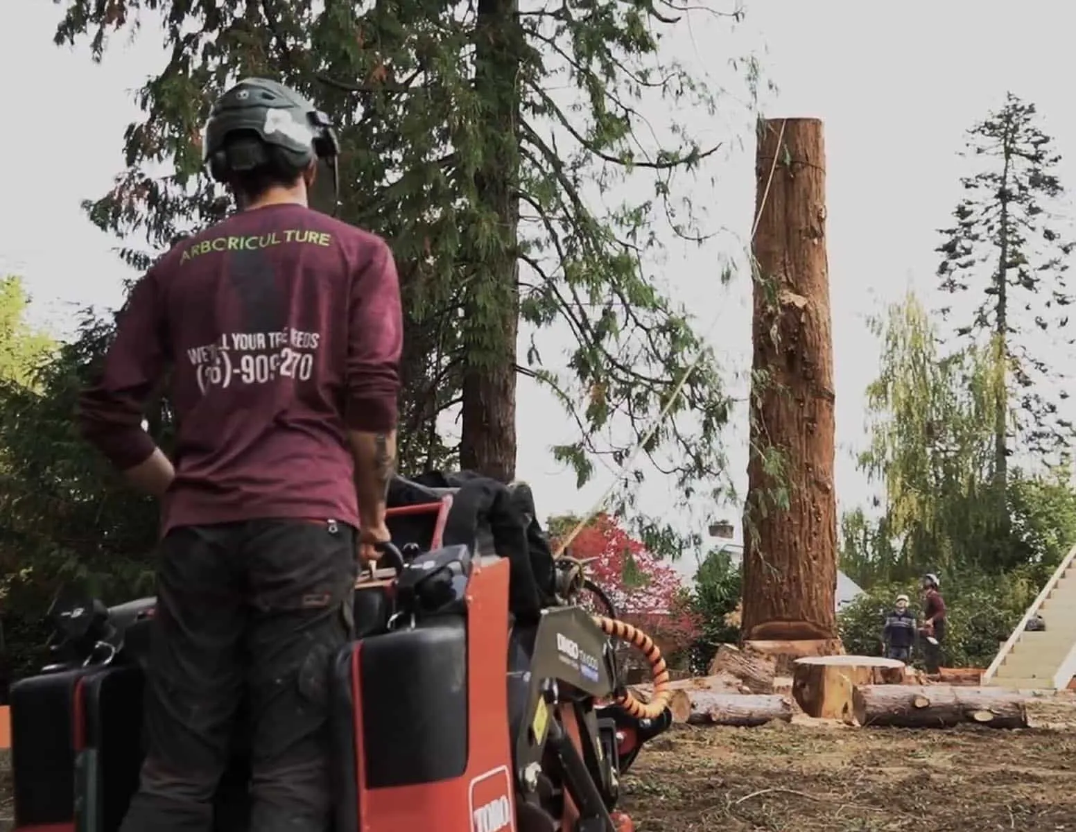Pacific Arboriculture