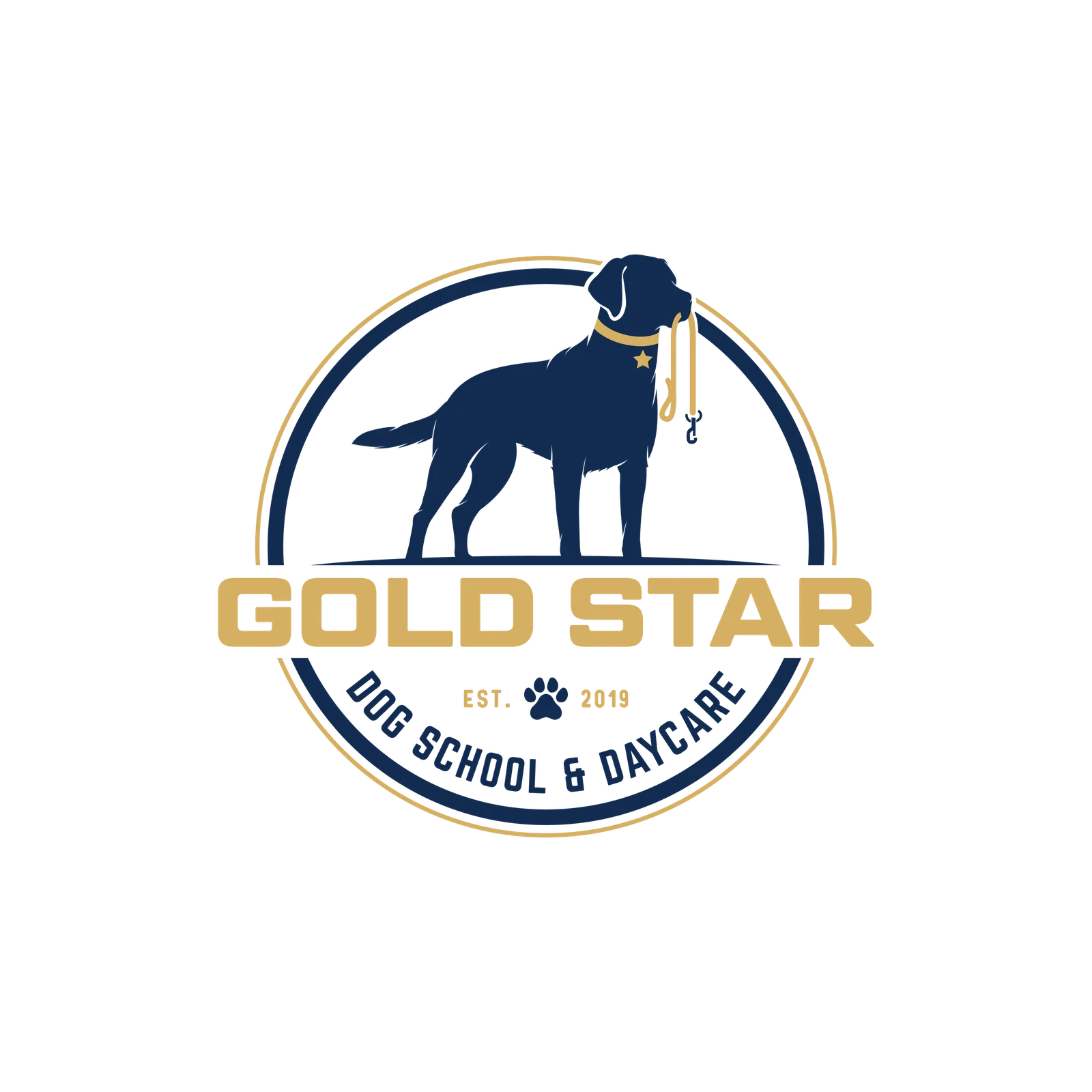 Gold Star Dog School