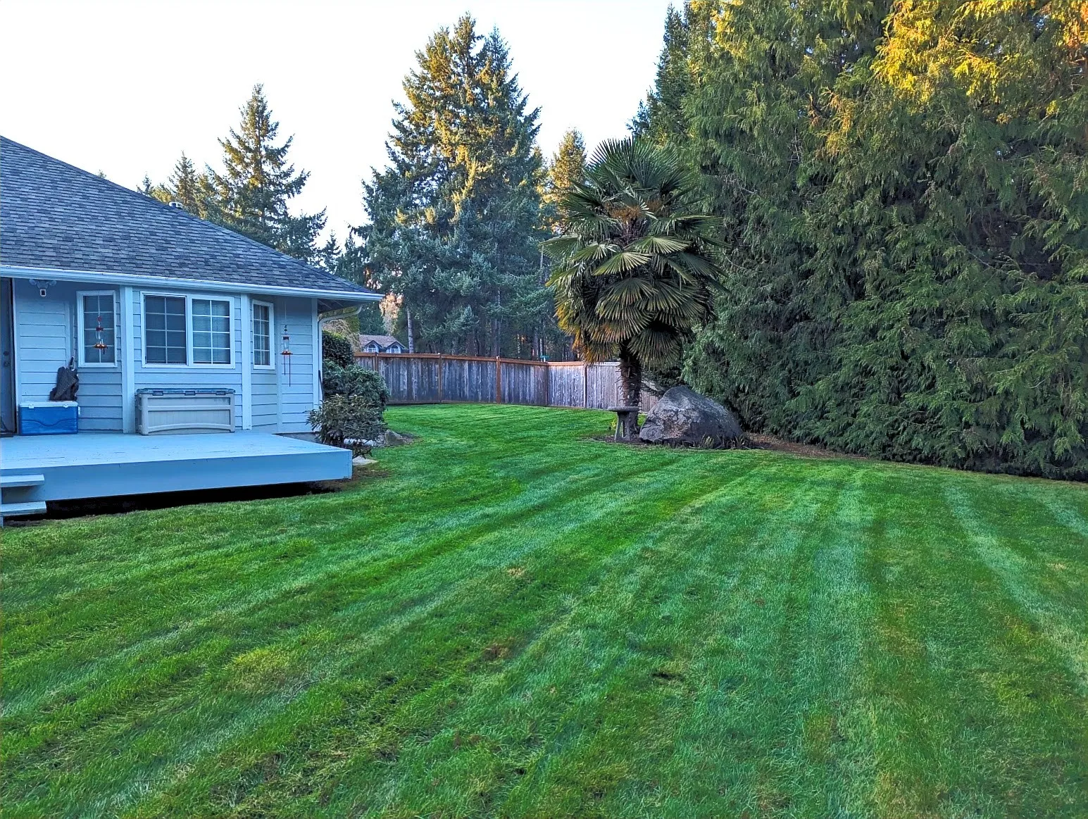 Chorus Lawn Services