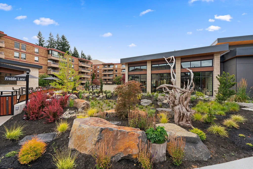 Sunrise Landscaping & Tree Removal Olympia WA