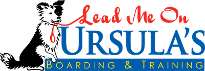 Ursula's Lead Me On logo