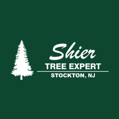 Shier Tree Expert logo