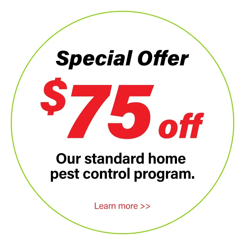 All "U" Need Pest Control