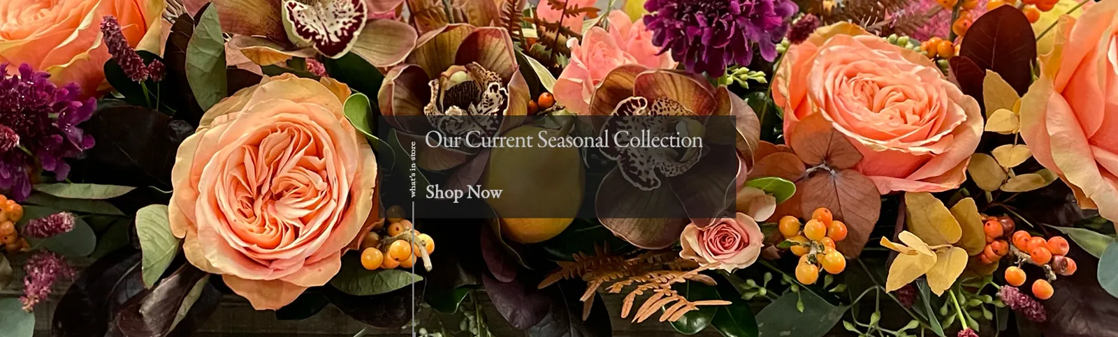 Viburnum Designs
