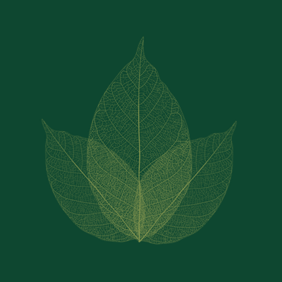 Kimberly Atwood Counseling logo
