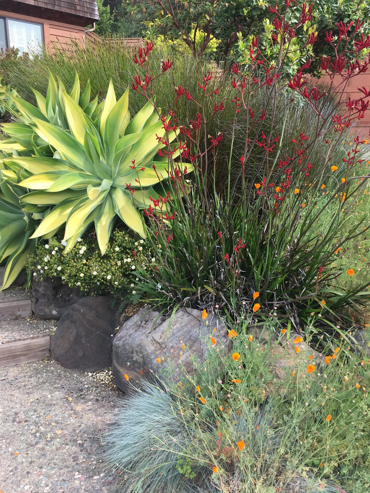 BK Landscape Design