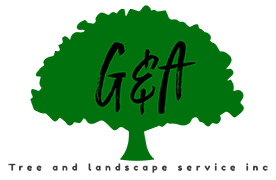 G and A Tree and Landscape logo