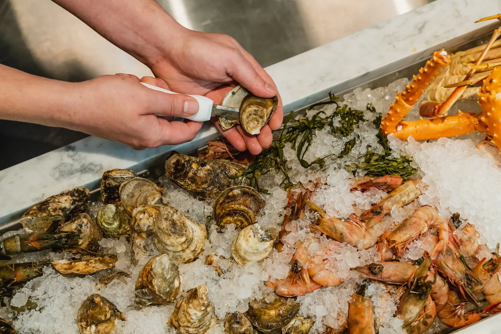 Bill's Oyster