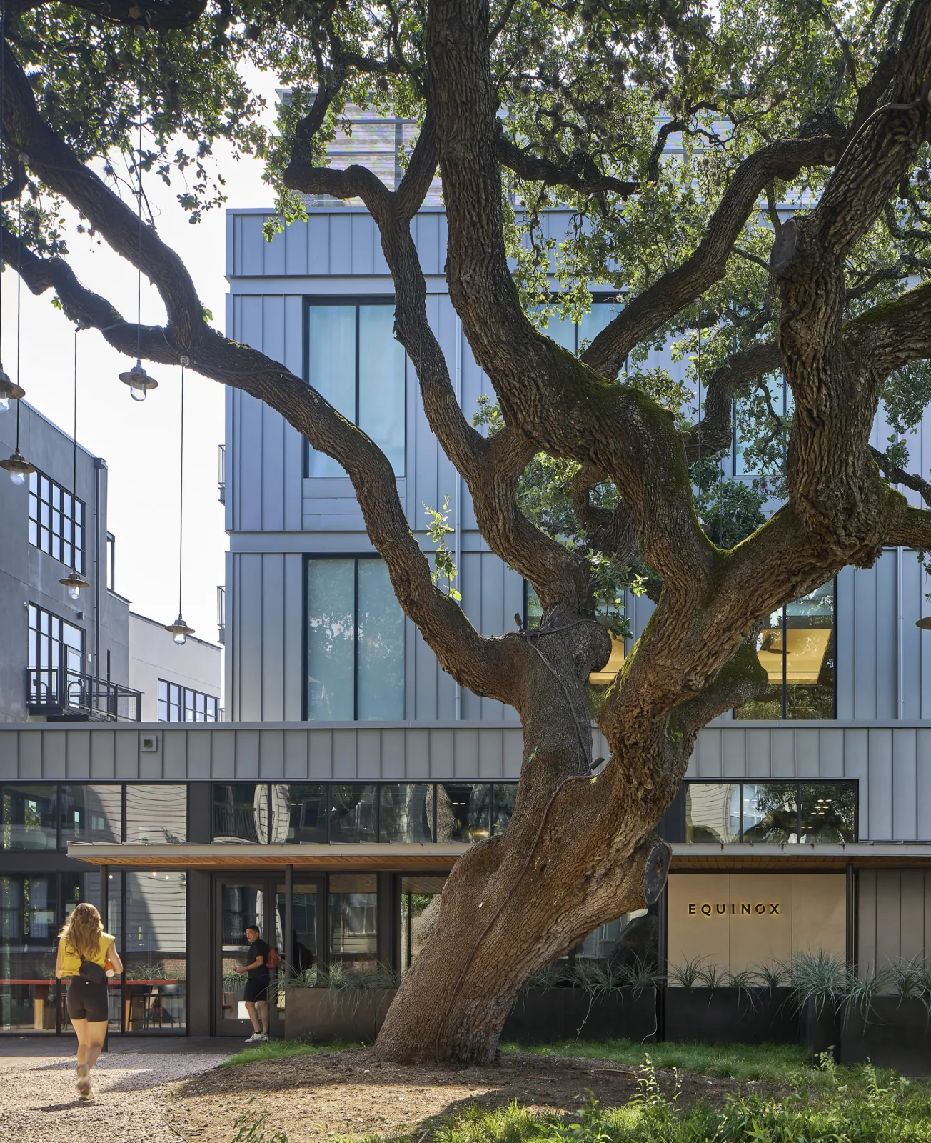 Equinox Austin