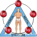 Dr. Jacquie Reiser logo