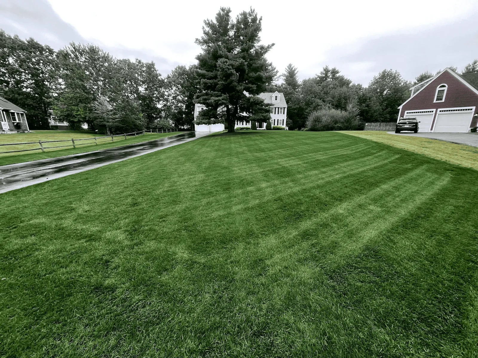 Mighty Lawn