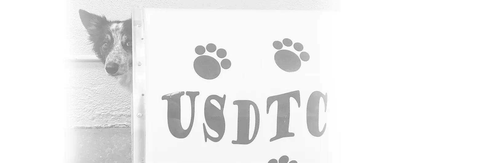 Upper Suncoast Dog Training Club