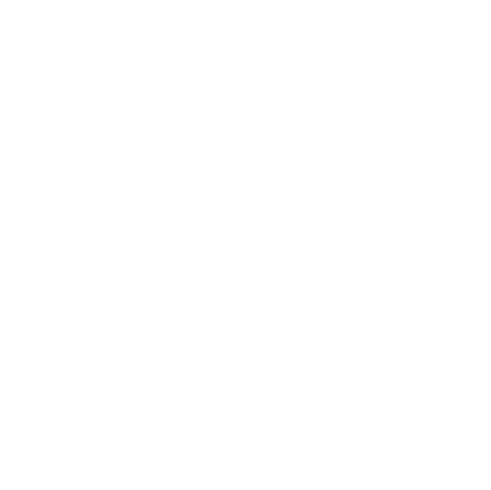 Bluefish Electric