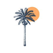 Sunset Family Dentistry logo