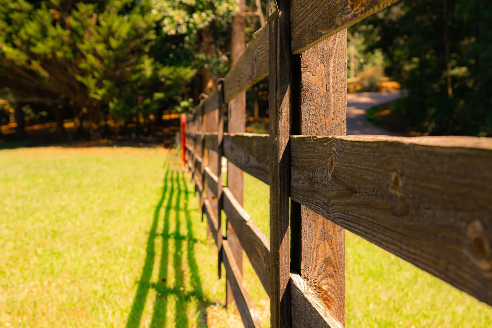 Fencing
