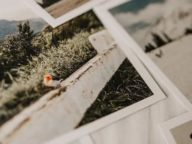 Photosmith
